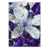 Beautiful Blossom Flower (Front)