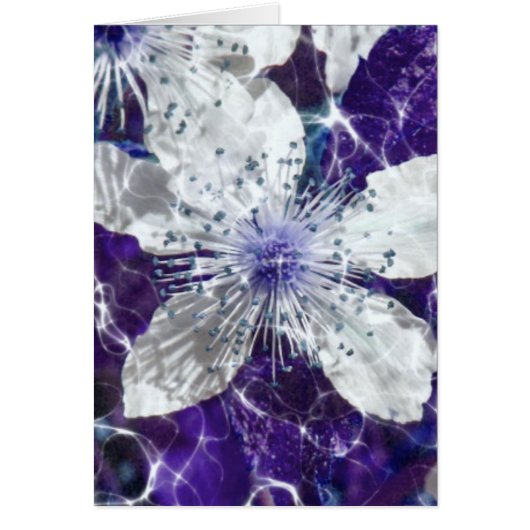 Beautiful Blossom Flower Cards (Front)