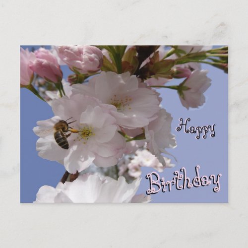 Beautiful Blossoms  Bee Happy Birthday Postcard