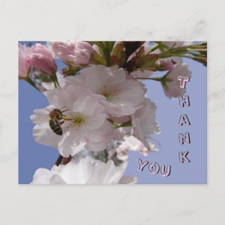 Beautiful Blossoms with Bee Thank You Postcard