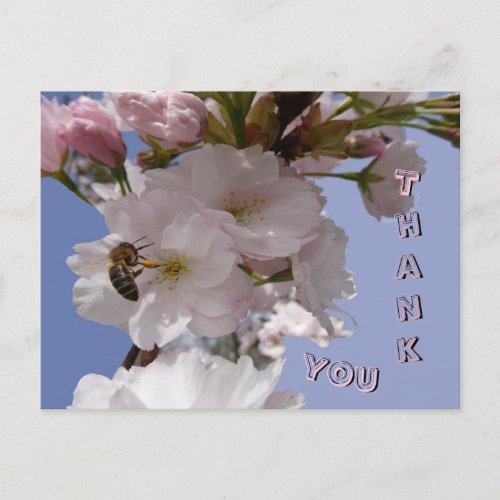 Beautiful Blossoms with Bee Thank You Postcard