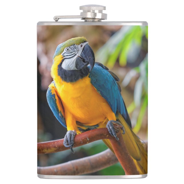 Beautiful Blue and Gold Macaw Flask (Front)