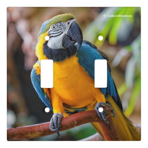 Beautiful Blue and Gold Macaw Light Switch Cover