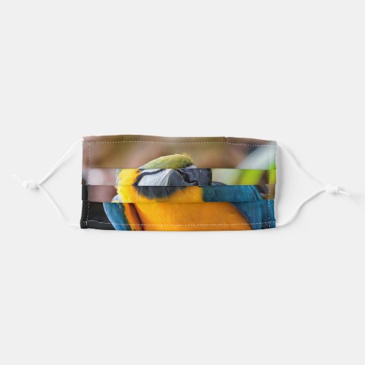 Beautiful Blue and Gold Macaw Parrot Bird Adult Cloth Face Mask (Front, Folded)