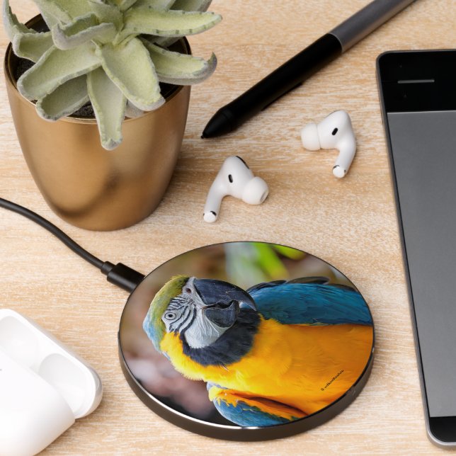 Beautiful Blue and Gold Macaw Parrot Bird Wireless Charger (Desk 2)