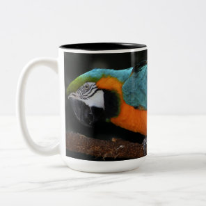Beautiful Blue and Gold Macaw Two-Tone Coffee Mug