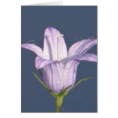 Beautiful blue bell flower (Front)