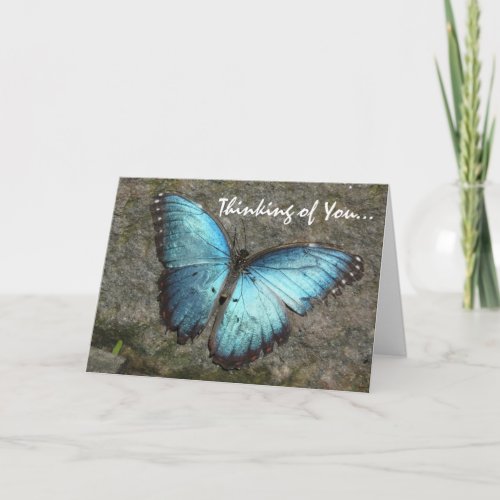 Beautiful Blue Butterfly_Thinking of You Card