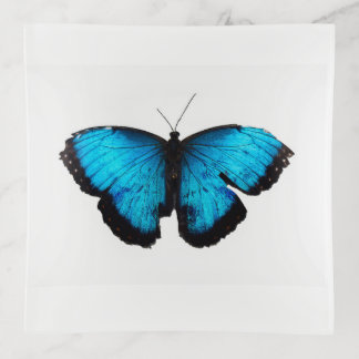 beautiful blue butterfly trinket tray