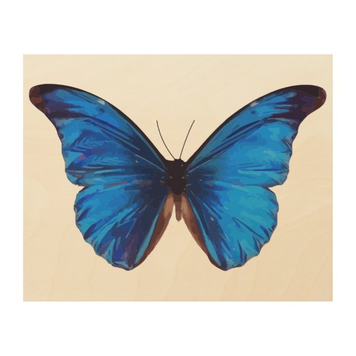 Beautiful Blue Butterfly vintage art | Zazzle.com