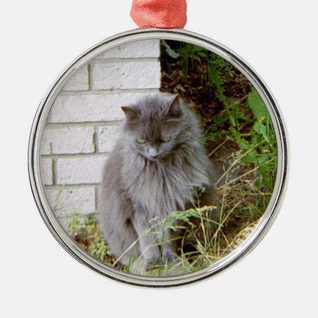 Beautiful Blue Cat Metal Ornament (Front)