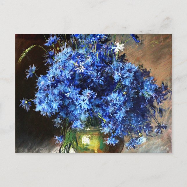 Beautiful Blue Cornflowers Postcard (Front)