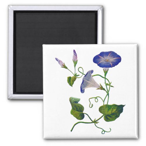 Beautiful Blue Embroidered Morning Glories Magnet