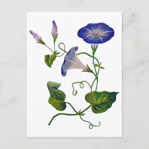 Beautiful Blue Embroidered Morning Glories Postcard