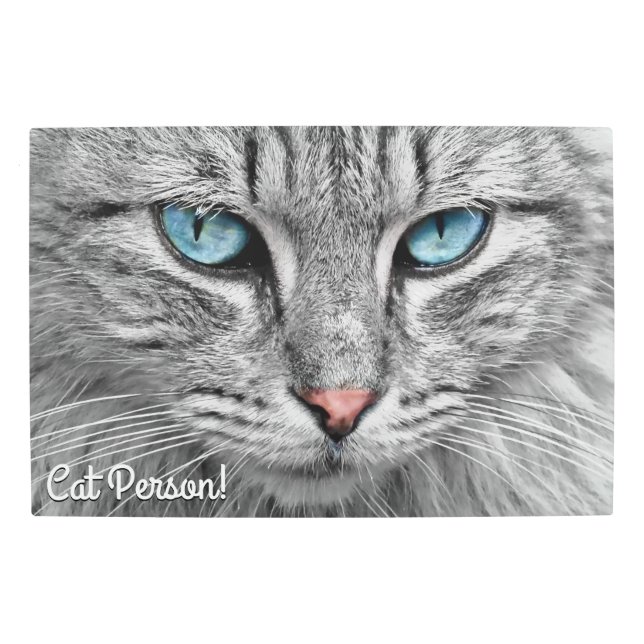 Beautiful Blue Eyed Gray and White Cat Metal Print (Front)