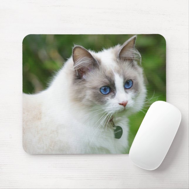 Beautiful Blue Eyed Kitten Mouse Pad (With Mouse)