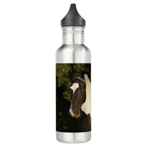 Beautiful Blue Eyed Paint Horse  Stainless Steel Water Bottle