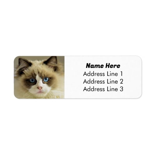 Beautiful Blue Eyed Ragdoll Cat Return Address Label