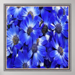 Beautiful Blue Flowers Poster at Zazzle