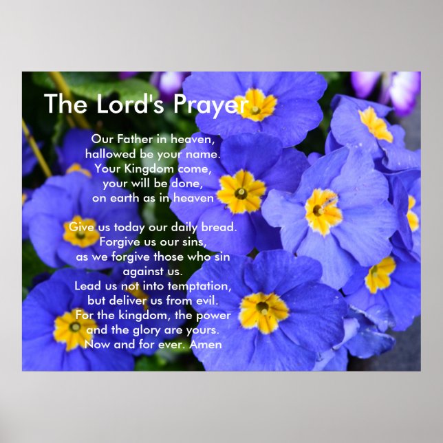 Beautiful blue garden flowers. The Lord's Prayer Poster (Front)