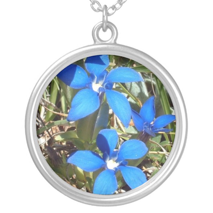 Beautiful Blue Gentian Alpine Flowers Necklaces