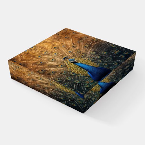 Beautiful blue gold peacock  paperweight