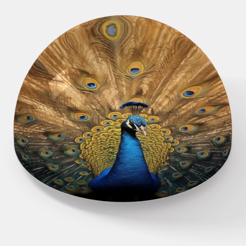 Beautiful blue gold peacock  paperweight