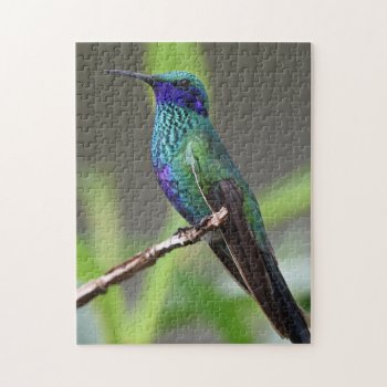 Beautiful Blue Green Hummingbird Photo Jigsaw Puzzle by RiverJude at Zazzle