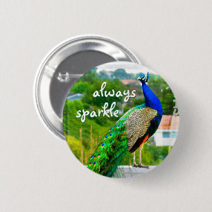 Beautiful Blue Green Peacock Always Sparkle Quote Pinback Button