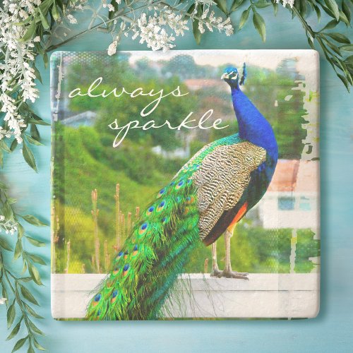 Beautiful Blue Green Peacock Always Sparkle Quote Stone Coaster