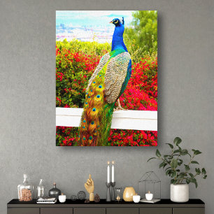 Beautiful Blue Green Peacock Photo Modern Stylish Canvas Print