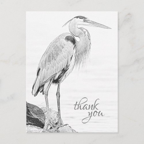 Beautiful Blue Heron Water Bird Sketch Thank You Postcard