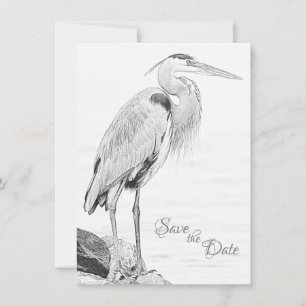 Beautiful Blue Heron Water Bird Sketch Wedding Save The Date