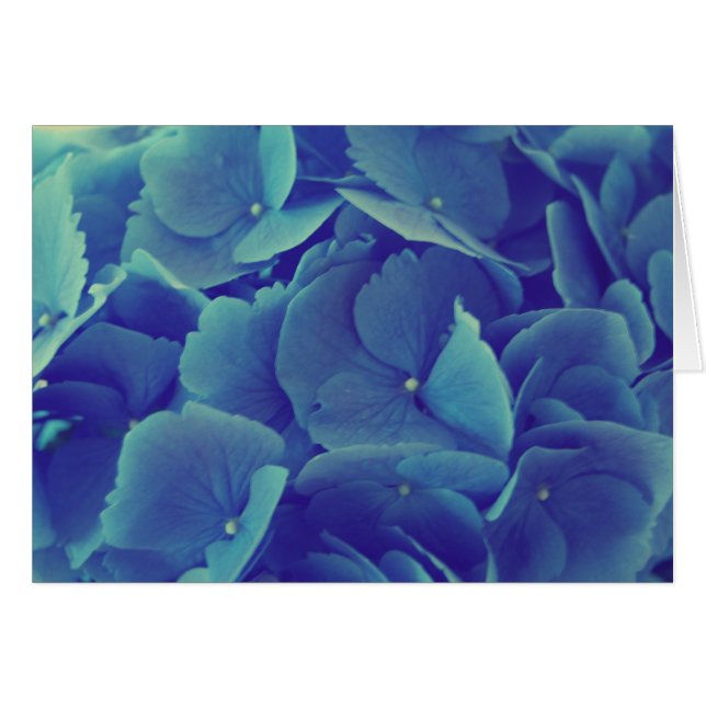 Beautiful Blue Hydrangea Cards (Front Horizontal)