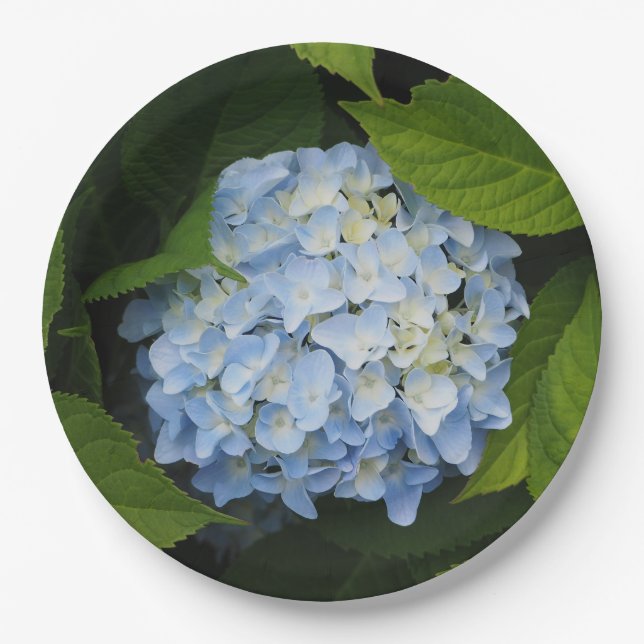 Beautiful Blue Hydrangea Floral Photo Paper Plates (Front)