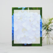 Beautiful Blue Hydrangea Flower (Standing Front)