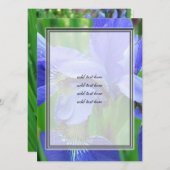 beautiful blue iris flowers (Front/Back)