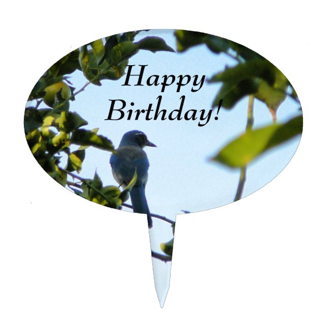 Beautiful Blue Jay Bird Cake Topper (Front)