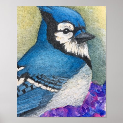 Beautiful Blue Jay Bird Watercolor Poster