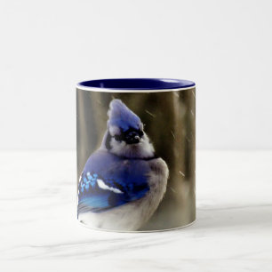Beautiful Blue Jay in Winter Photo Two-Tone Coffee Mug