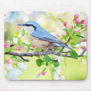 Beautiful Blue Jay on a Branch of Berries Mouse Pad