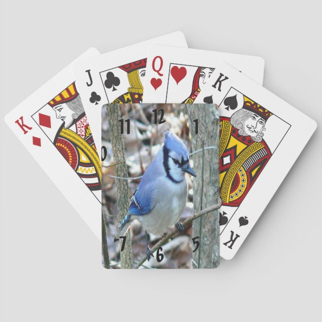 Beautiful Blue Jay Poker Cards (Back)