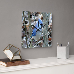 Beautiful Blue Jay Square Wall Clock