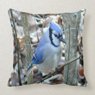 Beautiful Blue Jay Throw Pillow