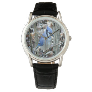 Beautiful Blue Jay Watch