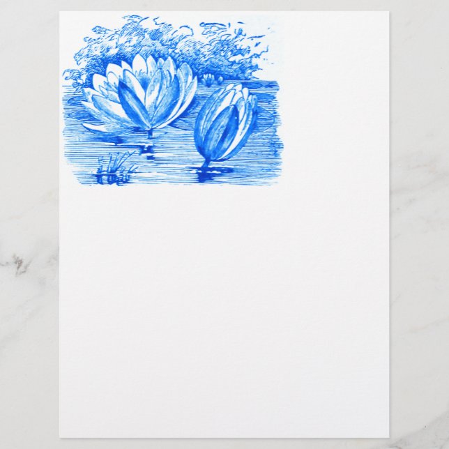 Beautiful blue  lotus flowers (Front)
