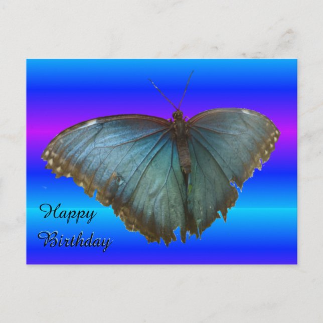 Beautiful Blue Morpho Butterfly Birthday Postcard (Front)