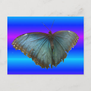 Beautiful Blue Morpho Butterfly DIY Postcard