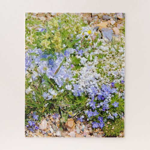 Beautiful Blue Moss Campion Tundra Flower  Jigsaw Puzzle