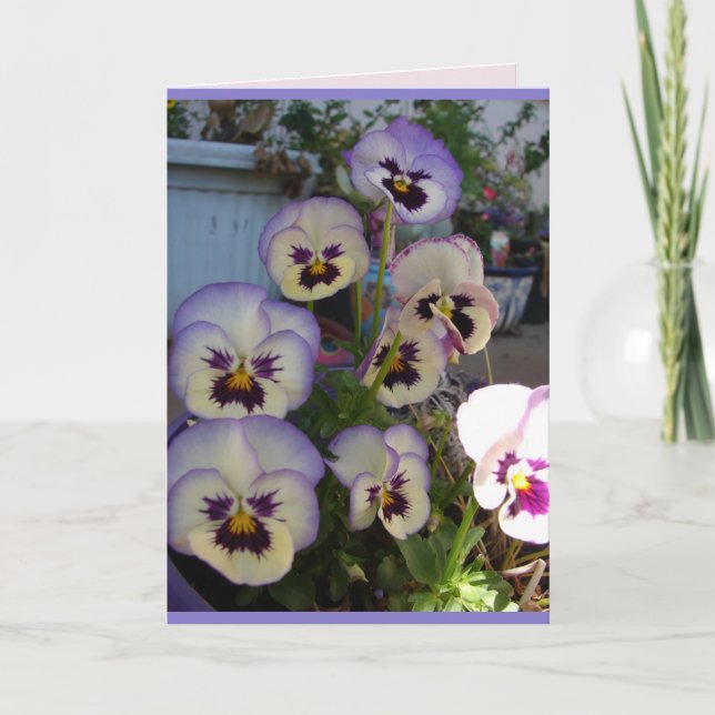 Beautiful Blue Pansy Pansies flowers floral Card (Front)